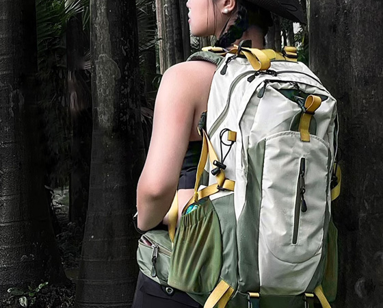 Luggage and Backpacks